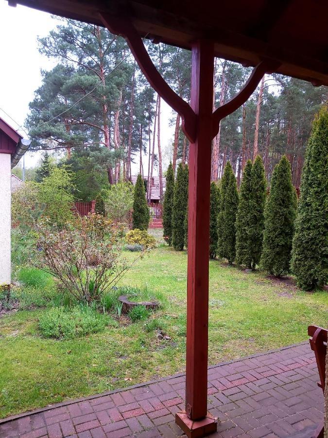 Drzewosfera Lägenhet Wilcze  Exteriör bild