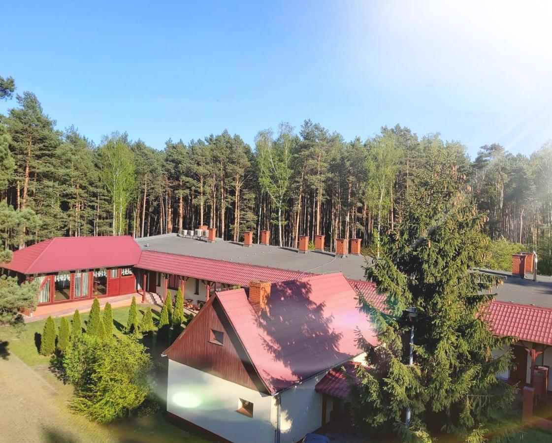 Drzewosfera Lägenhet Wilcze  Exteriör bild
